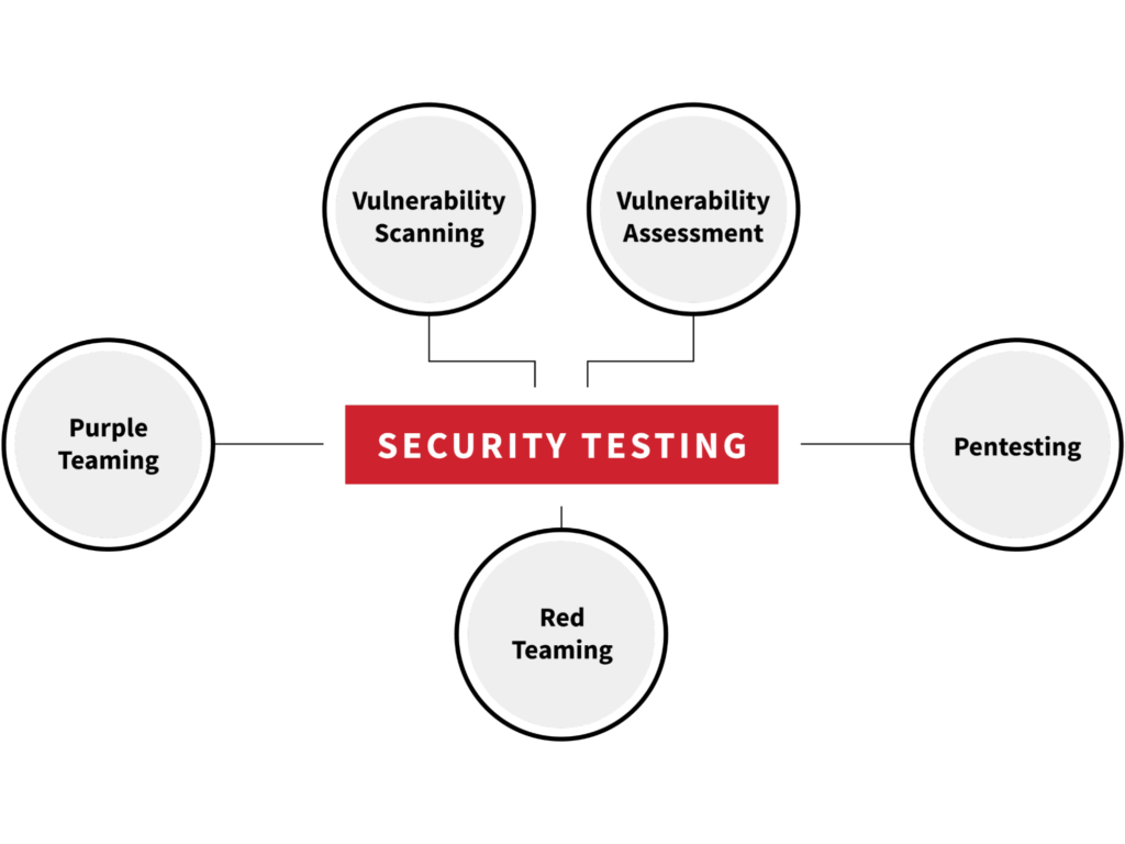 Security testing process